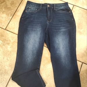 Judy Blue size 14W jeans Like New